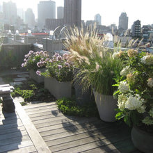 Roof inspiration