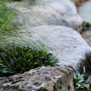 Eco-friendly Garden