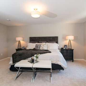 The Pimlico Model