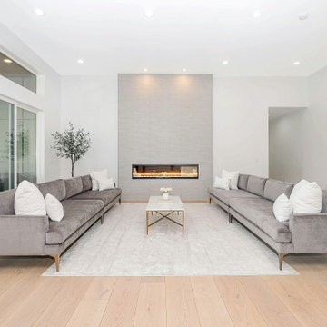 Flex Space & Living Room Remodels