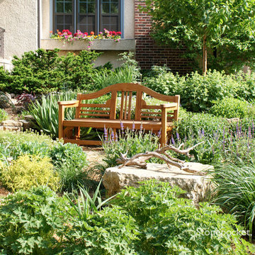 Shade to Sun - A Journey of a Perennial Garden
