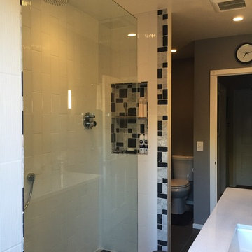 Master Bathroom Renovation