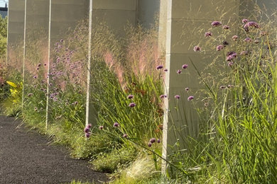 小さな、夏の北欧スタイルのおしゃれな庭 (ゼリスケープ、日向) の写真