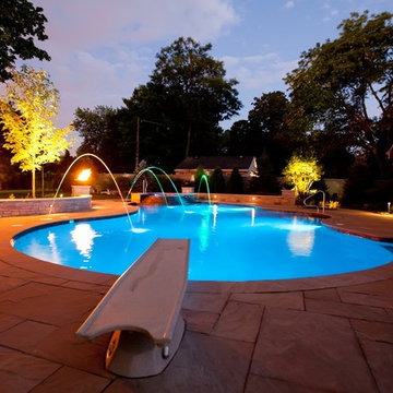 Freeform Pool in Downers Grove, IL