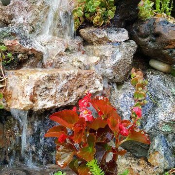 Landscape Design