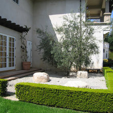 Patio Ideas