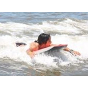 Ghazal Mowlavi's photo