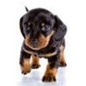 Jamie Eversley's photo