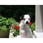 Lois Bredemeier's photo