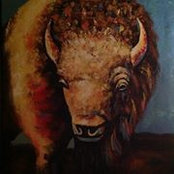 Tracey Noble's photo