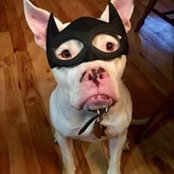Katie Coco-Walker's photo