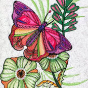 Photo de Phyllis Davis