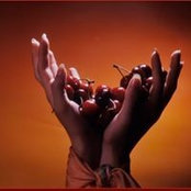 Youssef Ouarrirh's photo