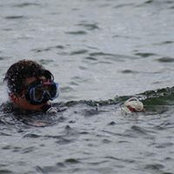 Matthew Graham's photo