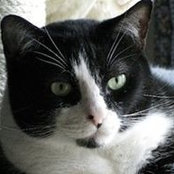 Veronica Dykes's photo