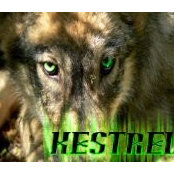 Stan Kestrelさんの写真