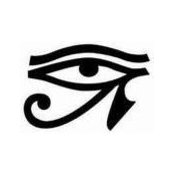 David Botros's photo