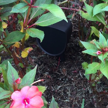 Outdoor Speakers