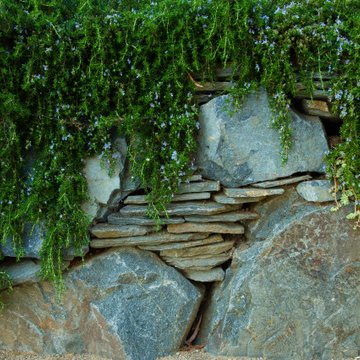 Stone West Country Estate