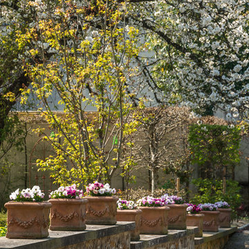Un jardin de roses à Meaux