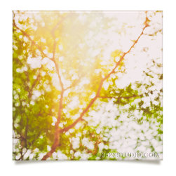 Beneath a tree Artwork - Prints And Posters