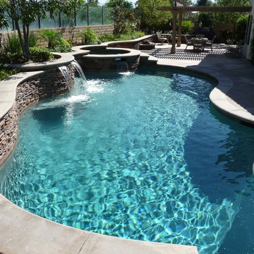 Freeform Pool with Baja Step and Raised Spa.