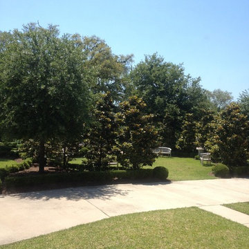 Compound on the beach! Family retreat..room for everyone!