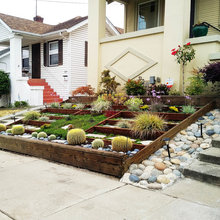 Front yard