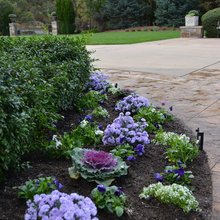 rocks next to driveway