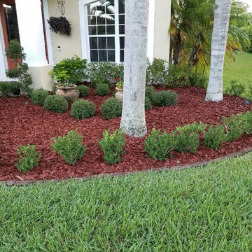 Custom Landscape