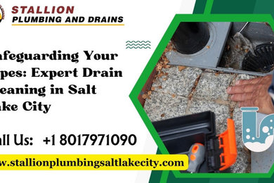 Safeguarding Your Pipes: Expert Drain Cleaning in Salt Lake City