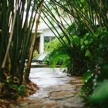 South Florida Rainforest