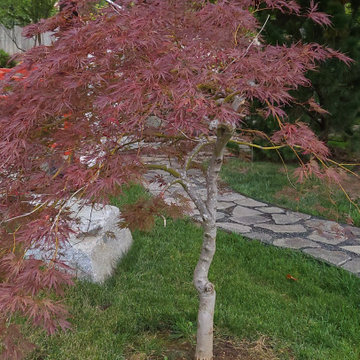 Landscape Projects