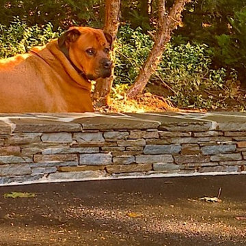 Falmouth, ME, Bluestone patio with Stone and Brick Firepit