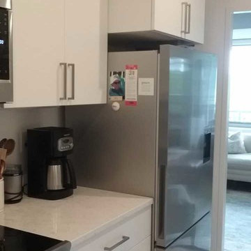 DC Apartment Remodel