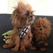 Brian Fletcher's photo
