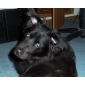 Robin Caddell's photo