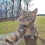 Michele Bianconi's photo