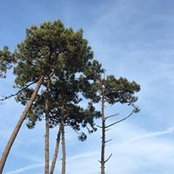 Matthieu Giraud's photo