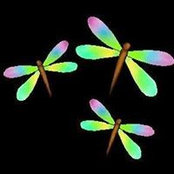 Phyllis Towne's photo