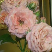 Foto de Eloise Byrd
