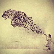 Jesus Navarro's photo