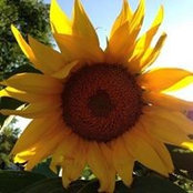 Pam Hanks's photo