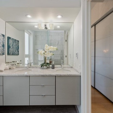 LEED Platinum Chicago Rowhome