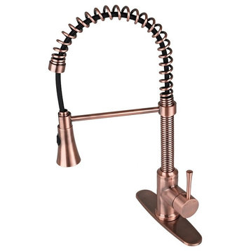 Residential Spring Coil Kitchen Faucet Cone Spray w/ Deck Plate Antique Copper