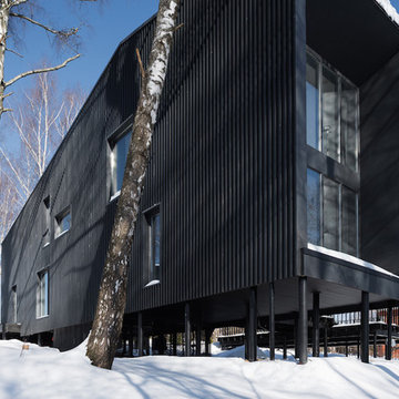 Blackbird's House