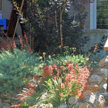 Landscape Ideas