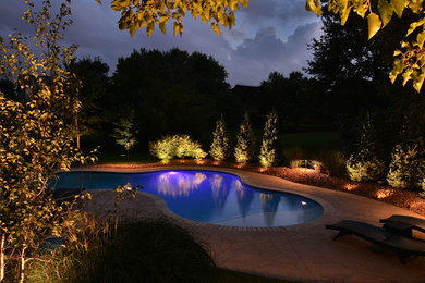 Example of a mid-sized transitional backyard stamped concrete and custom-shaped natural pool design in Kansas City
