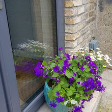 Dublin House Project