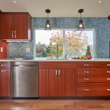 Primary Contemporary Kitchen Renovation